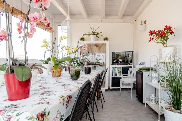 Bed and Breakfast Il Piccolo Attico Caltagirone Exteriér fotografie